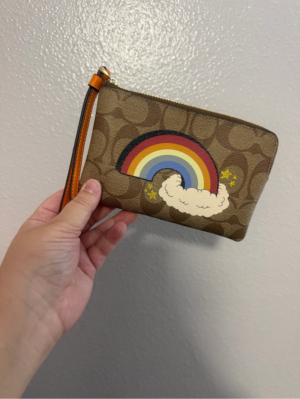 Coach rainbow wristlet